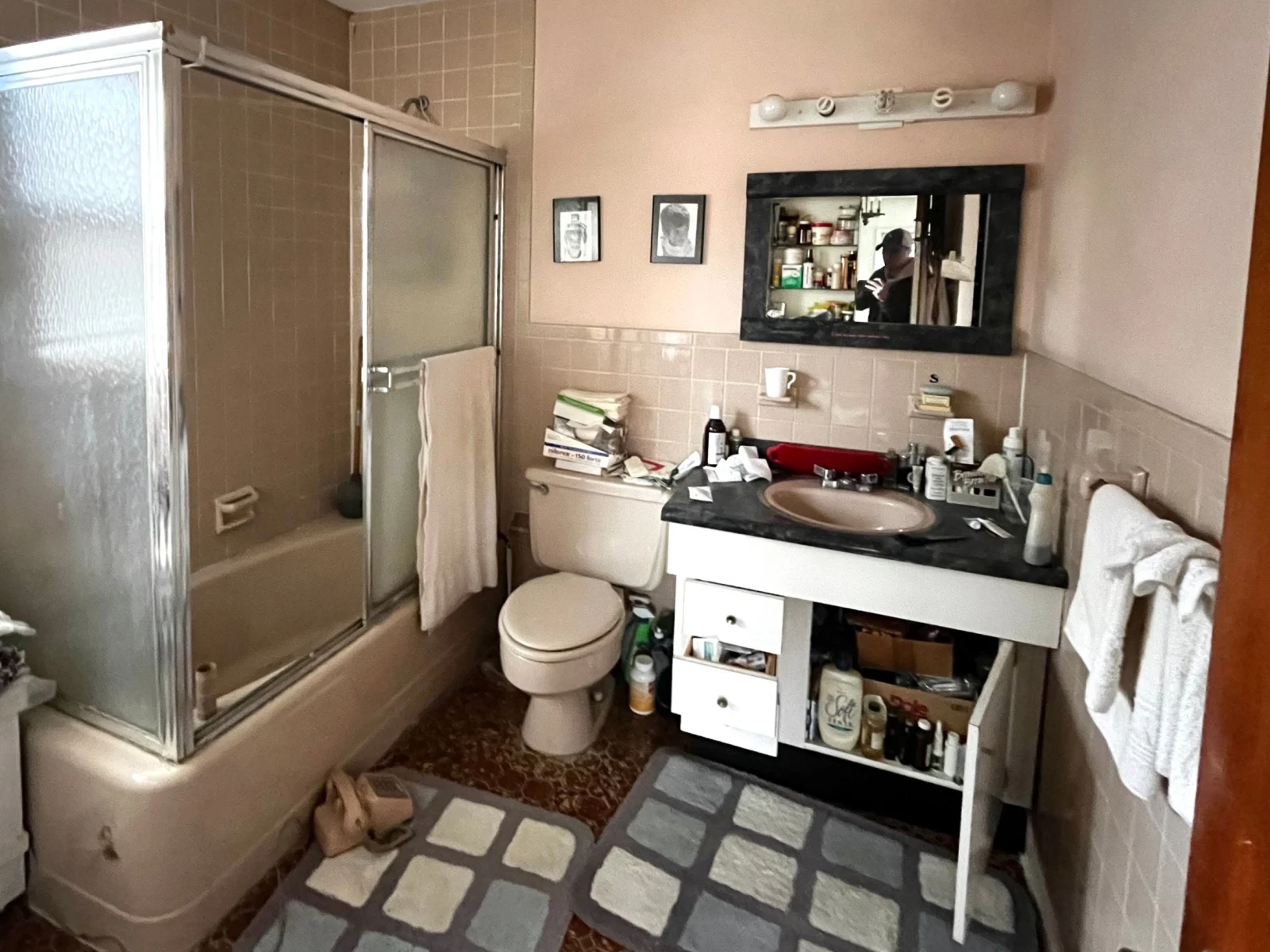 Bathroom before: pink walls, glass shower doors, old vanity and toilet